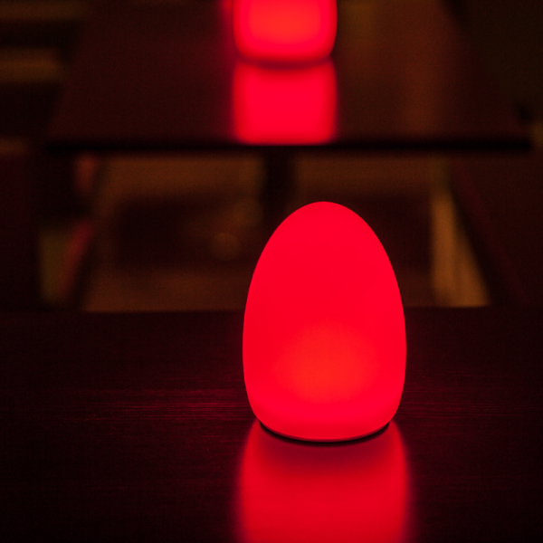 EGG 1