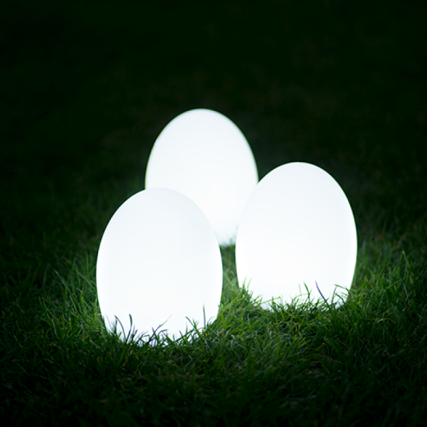 EGG 2