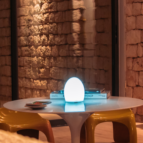 EGG 3