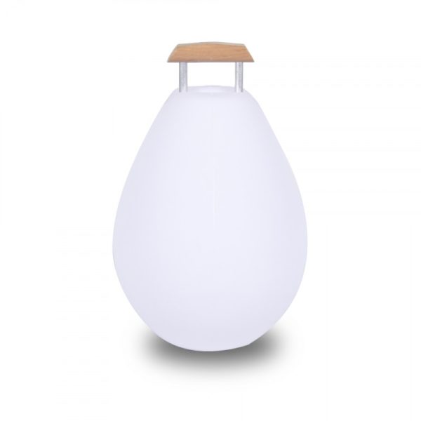 vessel2